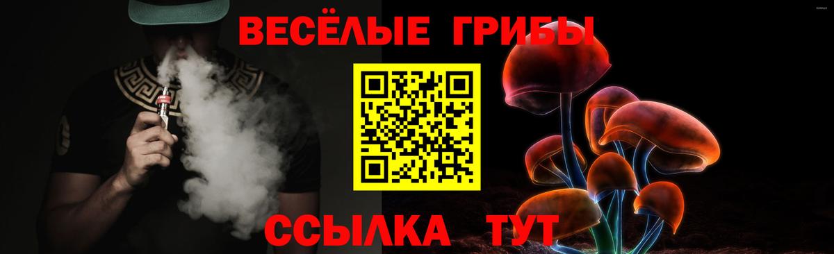 закладка  Псилоцибиновые грибы Cubensis  Вход с VPN  Чайковский 